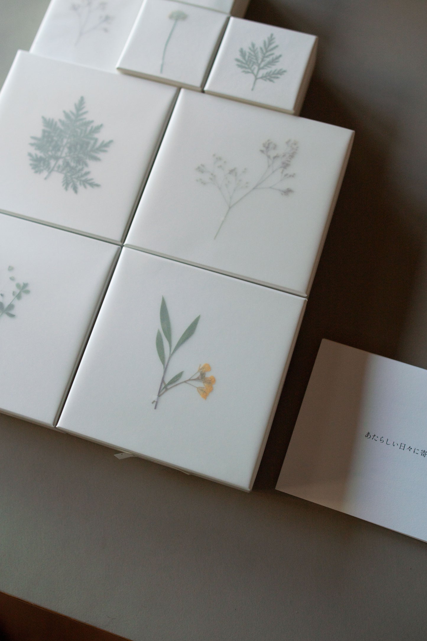 Echo - 耳飾り | 藍